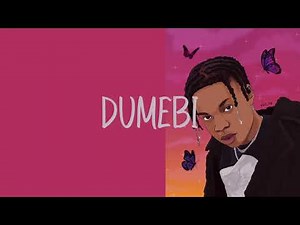Rema - Dumebi ( Official Music Lyrics )