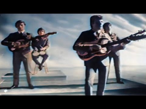 The Searchers - What Have They Done To The Rain (1965)