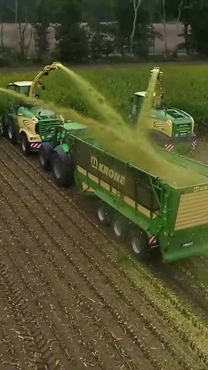 Corn Harvest with Krone Big X Forage Harvester