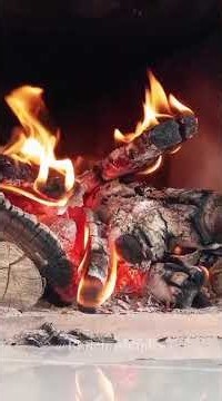 DIA DE FARTURA 🐖@1vidasimples #sitio #vidanaroça #fazenda #porco