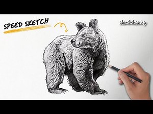 Realistic Brown Bear Pencil Drawing | Sketch to Life 🐻