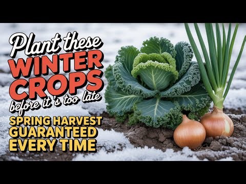 5 Resilient Crops You Must Plant This Winter for Spring Abundance