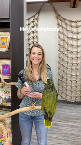 Follow along with us this week as we learn how to use the spray bottle as a source of a shower for your companion parrot! #parrotstars #parrotstarsarlingtonheights #parrotstarsfamily #parrotstarsbaby #parrotstarssummerfestival #parrot #parrots #parrotsofinstagram #parrotlover #parrotlife #bird #birds #birdsofinstagram #birdlovers #birdphotography #birdfreaks #tobythebluefrontedamazon #bluefrontedamazon #parrotshower #parrotenrichment #parrottraining #birdenrichment #birdtraining | Parrot Stars