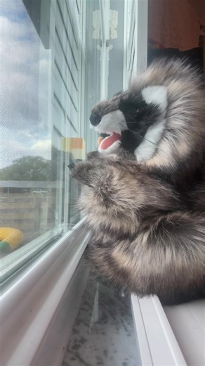 Understanding Heat Waves: Causes and Effects