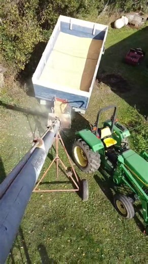 Filling our big bin with corn. #GarnoHomestead Susan Garno #farm #farmlife #homestead #homesteadlife #corn #cornharvest | Garno Homestead