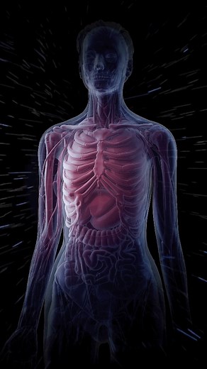 146K views · 3.2K reactions | 99.9999999% of your body is empty space. #Science #Research #Biology #Anatomy | Hashem Al-Ghaili | Facebook