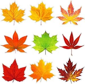 Ferraycle 198 Pcs Thanksgiving Fall Bulletin Board Decorations Fall Leave Cutout Autumn Artificial Leaf Cutout Maple Paper Leave with Glue Point Dot for Bulletin Board Wall Decoration, 3.94 x 3.5 in