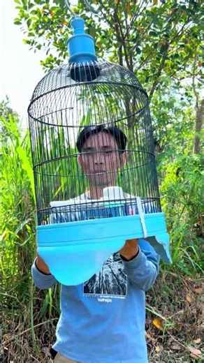 Minion cage for lovebirds and doves #minioncage