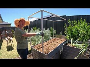 DIY PVC Trellis System for Vining Plants: A Step-by-Step Guide to Save Space in Your Garden