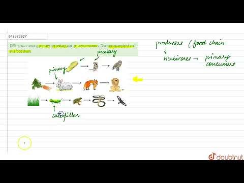 Differentiate among primary, secondary and tertiary consumers. Give one example of each in a foo...