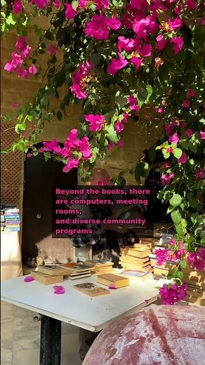 One Day Inside: Your Local Public Library 📚