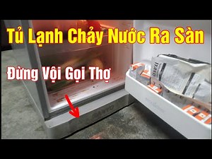 Tủ lạnh bị chảy nước ngăn mát ra sàn nhà | Cách kiểm tra và xử lý đơn giản nhất