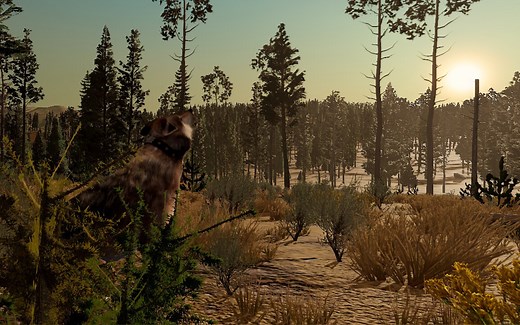 【游戏实况丨野狼谜踪周年版丨WolfQuest: Anniversary Edition】模拟类游戏《WolfQuest》更新中