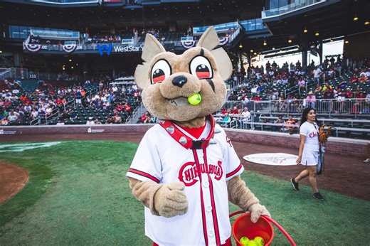 Chihuahuas brand best in the biz ahead of 2026 season