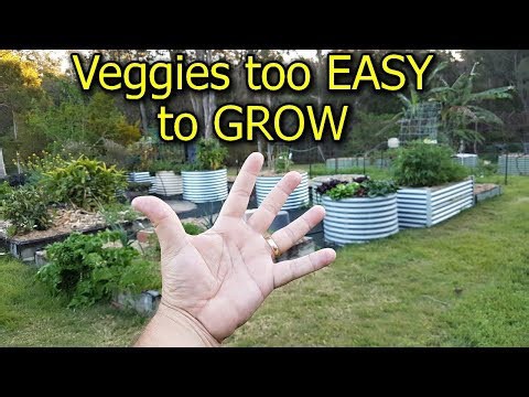 5 Vegetables that are too EASY to GROW in the Garden