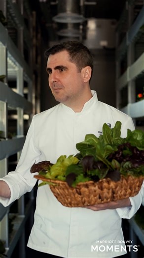 Savour a New Adventure: Use Your Points for Unforgettable Culinary Experiences with Marriott Bonvoy Moments. | Marriott Bonvoy