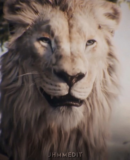 Mads Mikkelsen's Stunning Mufasa Movie Edits
