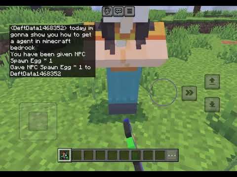 How to get the agent in minecraft