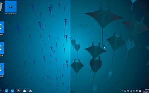 海底世界鱼动画特效win10动态壁纸，动态锁屏，屏保，任务栏透明，iSaver