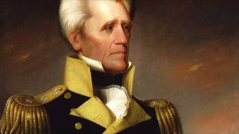 Giving wild donkeys a new life