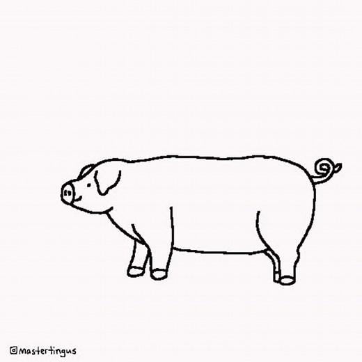 Sound on 🐽 #oink #weird #animation #art