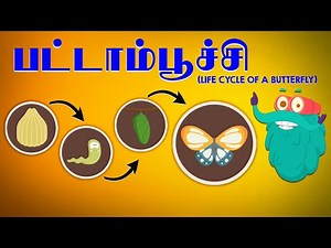 பட்டாம்பூச்சியின் வாழ்க்கை சுழற்சி | Life of a Butterfly | Dr.Binocs Tamil | Kids Learning Video