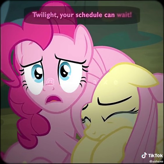 Best Argument Scenes with Twilight Sparkle and Pinkie Pie