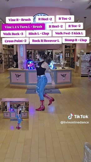 Learn the Achy Breaky Heart Line Dance Step by Step