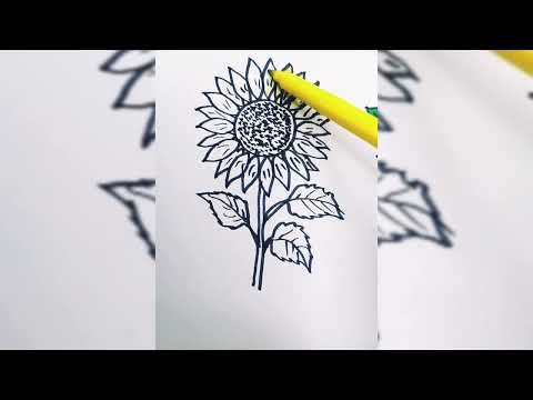 Easy Flower Sketch for Beginners | Pencil Drawing Tutorial