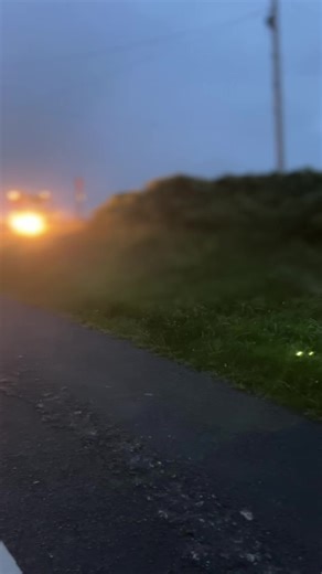 Exploring the 7840 Turbo & Ford 8210 Tractors