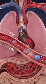 what's actually inside your BLOOD 😲 PART 1