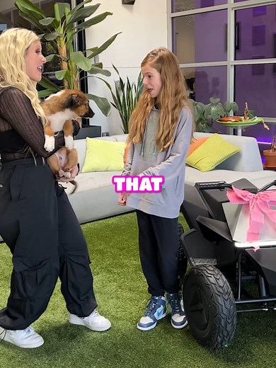 Puppy vs Robot Dog: Which is Cutest?