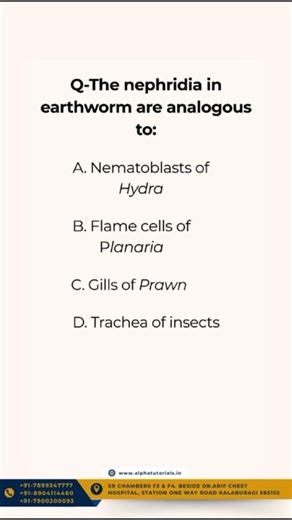 Alpha Tutorials Kalaburagi on Instagram: "Cracking NEET 2026 one analogy at a time 🧠✨ Strengthen your logic, sharpen your concepts, and stay one step ahead of the competition 🚀📚 📘 Crash Course starting 17th March 2026 🎓 Admissions Open for 2025–26 Take the next step toward success — Enroll Now. 📞 +91 7899347777 | +91 8904114460 | +91 7900200093 🌐 www.alphatutorials.in 📍 Address: SR Chambers F3 & F4, Beside Dr. Arif Chest Hospital, Station One Way Road, Kalaburagi – 585102 #AlphaTutorials