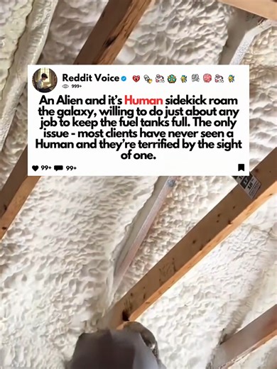 Alien and Human Sidekick's Cosmic Adventures