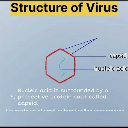 Structure of virus #uptgtbiology #kvspgtbiology #neet