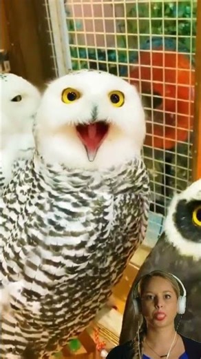 What are you looking at?