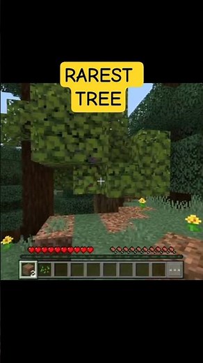 I Found a Super Rare Tree in Minecraft! 🌳😱