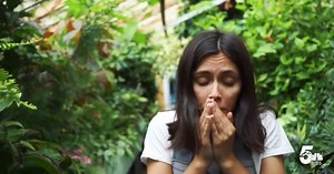 How to help your spring allergies