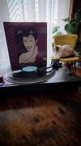Hungry Like the Wolf - Duran Duran ( Rio ) 1982 | The songs of my life