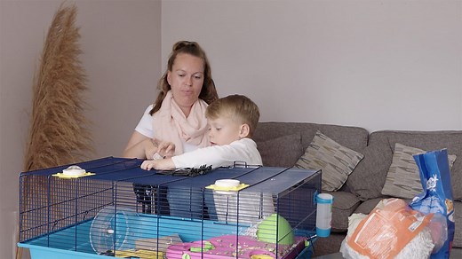 Are Pets Good for Kids? Tips for Helping Kids Look After Pets