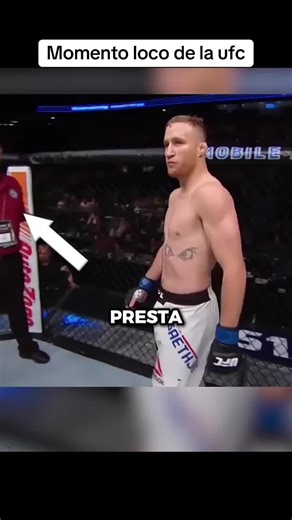 Ufc #ufc #mma #knockout | UFC Knockout