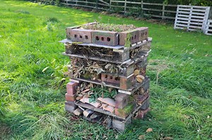 How to make a bug hotel: the right way - Garden Ninja: Lee Burkhill Garden Design