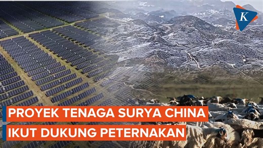 Proyek fotovoltaik di Dataran Tinggi Qinghai-Tibet, China, menunjukkan manfaat ganda antara transisi energi dan pemulihan lingkungan. Sejak dikembangkan pada 2012, panel surya berskala besar itu mampu "memanen" hingga 2.600 jam sinar matahari per tahun. Di sisi lain, lahan yang menghijau membuat para penggembala bisa mendapatkan makanan tambahan untuk hewan ternaknya. Manfaat serupa juga terlihat di Kota Anshun, Provinsi Guizhou, di mana lahan pegunungan berbatu yang sebelumnya tidak produktif d