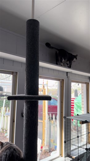 Zach having a fun run