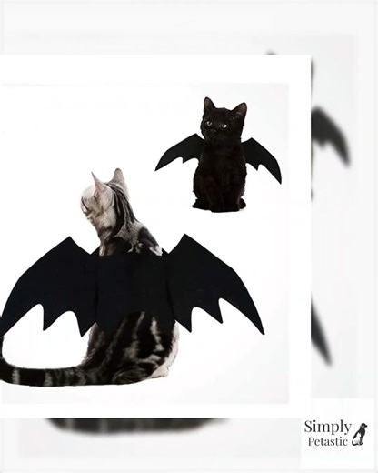 Black Bat Wings Pet Cosplay Prop Halloween Cat Dog Costume