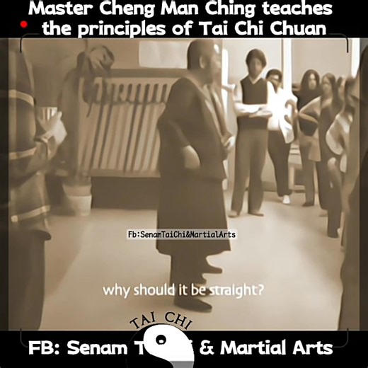 Grand Master Cheng Man Ching (Yang Chengfu's disciple), teaches the principles of Tai Chi Chuan to his students. How to perform Tai Chi movements and postures correctly. #taichichuan37cmc #taijiquanprinciples #kuahipsjoint | Senam Tai Chi & Martial Arts