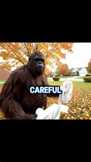 Easy Leaf Removal with Fans