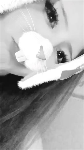 Selling Personalized Fansigns for You