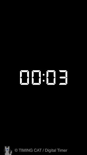 4 Seconds Timer（Vertical）