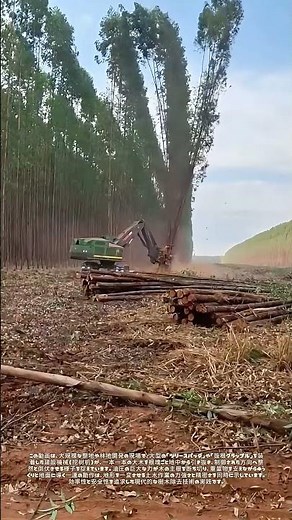 大地から引き剥がす生命：機械が導く樹木の終焉と秩序